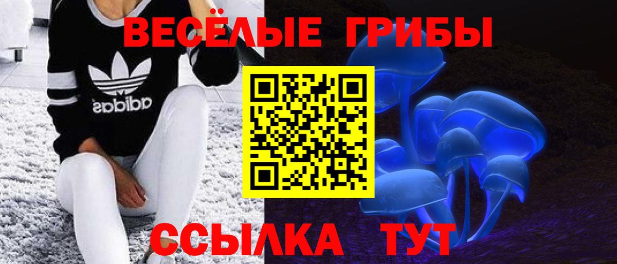 Надым  Псилоцибиновые грибы Psilocybe  Вход с VPN 